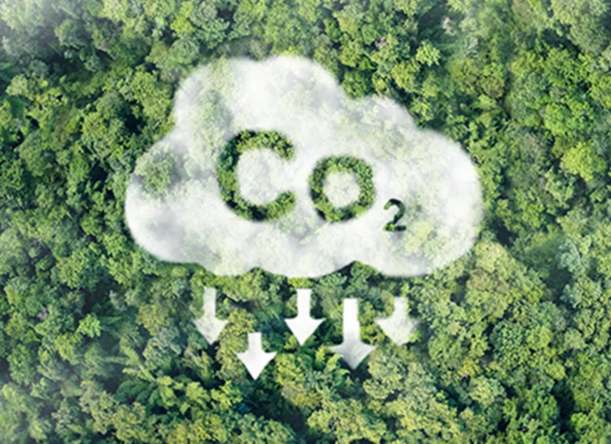 売るのは、CO₂を吸収する“空間”だけ。