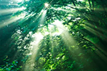 森林所有者様へ